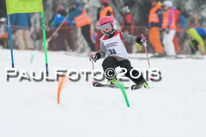 Werdenfelser Kinderskitag, Bambini +Kinder JG 2007, 18.03.2018