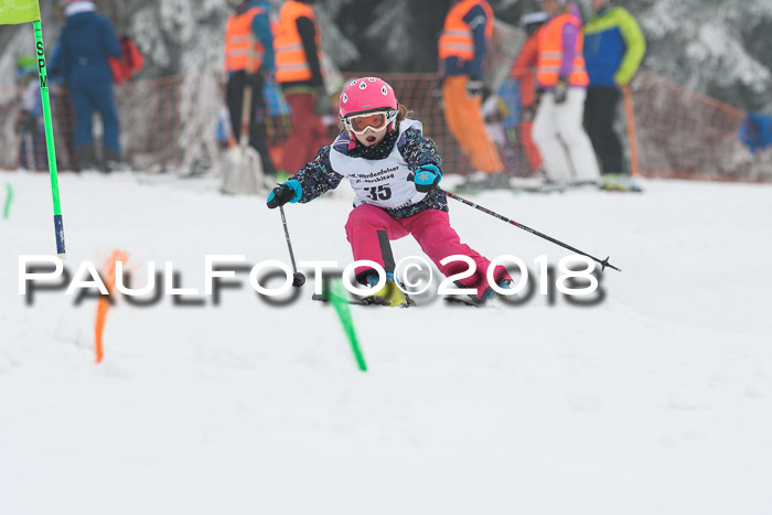 Werdenfelser Kinderskitag, Bambini +Kinder JG 2007, 18.03.2018