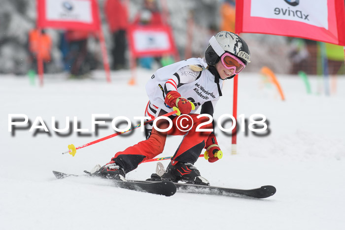 Werdenfelser Kinderskitag, Bambini +Kinder JG 2007, 18.03.2018