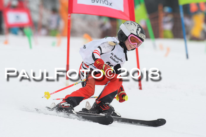 Werdenfelser Kinderskitag, Bambini +Kinder JG 2007, 18.03.2018