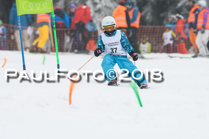 Werdenfelser Kinderskitag, Bambini +Kinder JG 2007, 18.03.2018