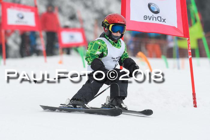 Werdenfelser Kinderskitag, Bambini +Kinder JG 2007, 18.03.2018