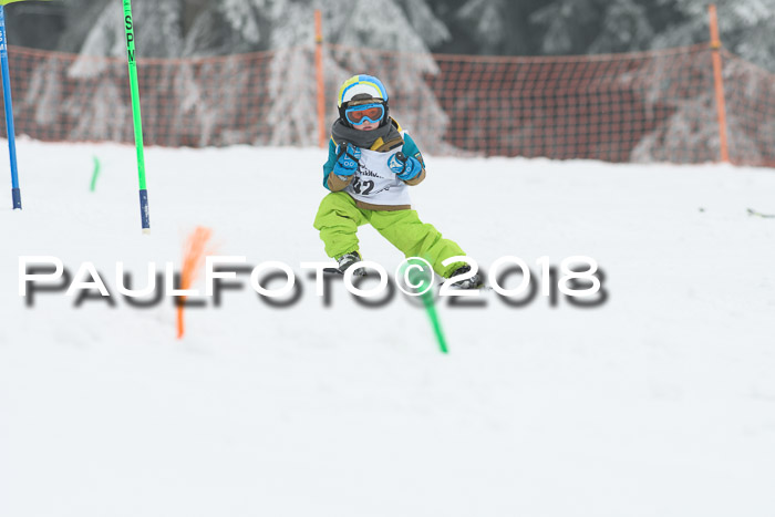 Werdenfelser Kinderskitag, Bambini +Kinder JG 2007, 18.03.2018