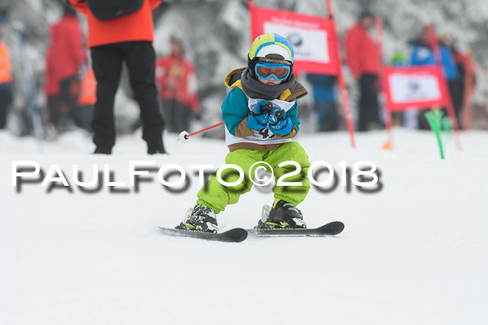 Werdenfelser Kinderskitag, Bambini +Kinder JG 2007, 18.03.2018