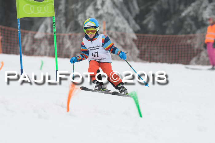 Werdenfelser Kinderskitag, Bambini +Kinder JG 2007, 18.03.2018