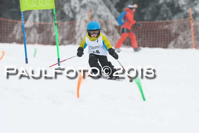 Werdenfelser Kinderskitag, Bambini +Kinder JG 2007, 18.03.2018