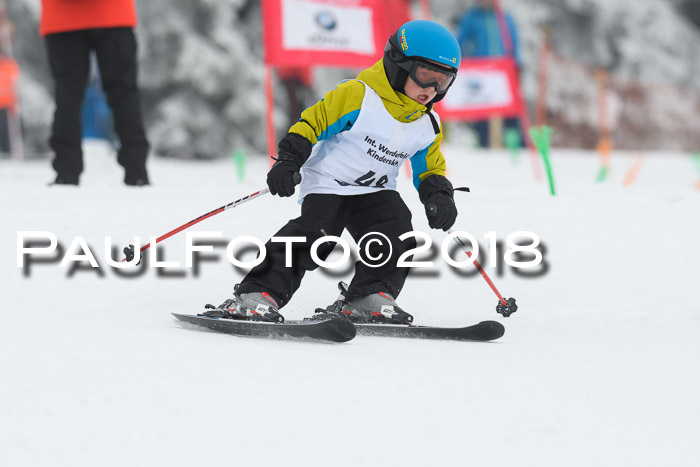 Werdenfelser Kinderskitag, Bambini +Kinder JG 2007, 18.03.2018