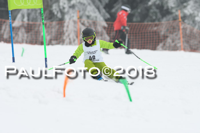 Werdenfelser Kinderskitag, Bambini +Kinder JG 2007, 18.03.2018