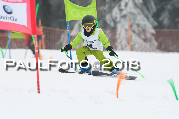 Werdenfelser Kinderskitag, Bambini +Kinder JG 2007, 18.03.2018