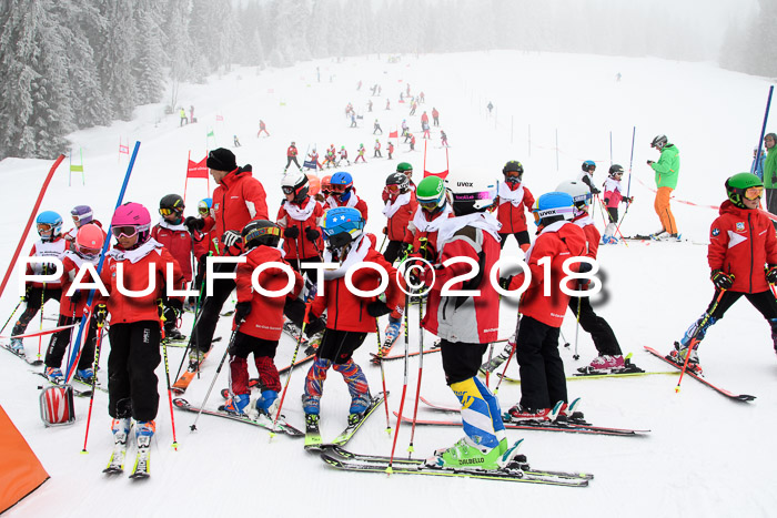 Werdenfelser Kinderskitag, Bambini +Kinder JG 2007, 18.03.2018