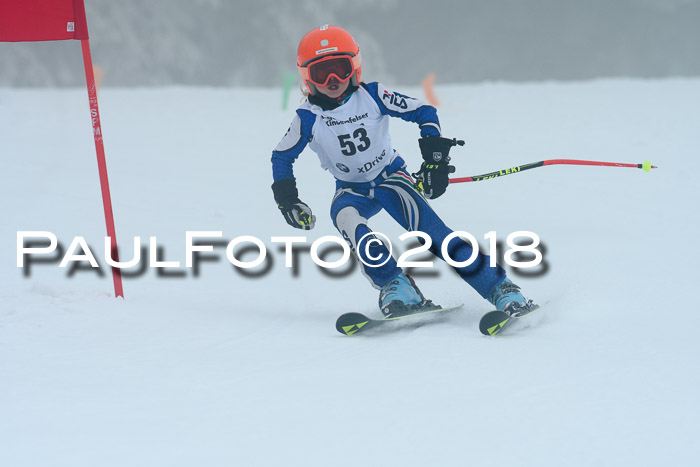 Werdenfelser Kinderskitag, Bambini +Kinder JG 2007, 18.03.2018