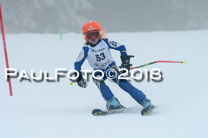 Werdenfelser Kinderskitag, Bambini +Kinder JG 2007, 18.03.2018