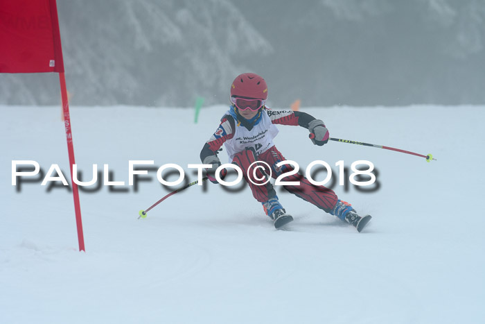 Werdenfelser Kinderskitag, Bambini +Kinder JG 2007, 18.03.2018