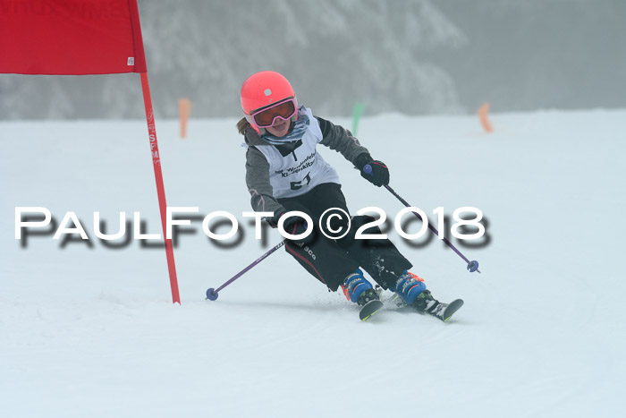 Werdenfelser Kinderskitag, Bambini +Kinder JG 2007, 18.03.2018