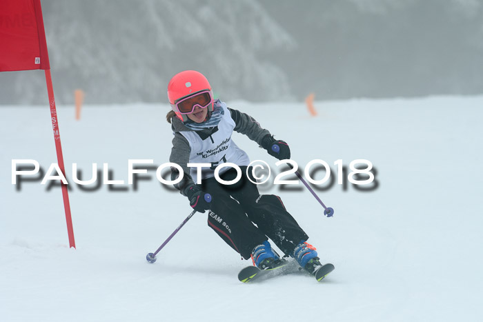 Werdenfelser Kinderskitag, Bambini +Kinder JG 2007, 18.03.2018