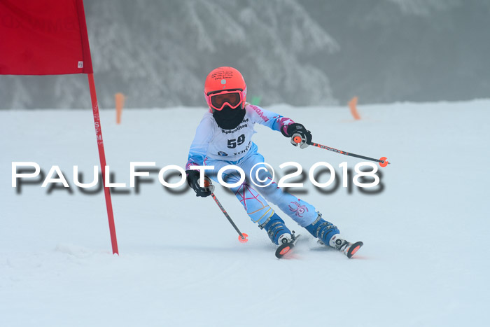 Werdenfelser Kinderskitag, Bambini +Kinder JG 2007, 18.03.2018