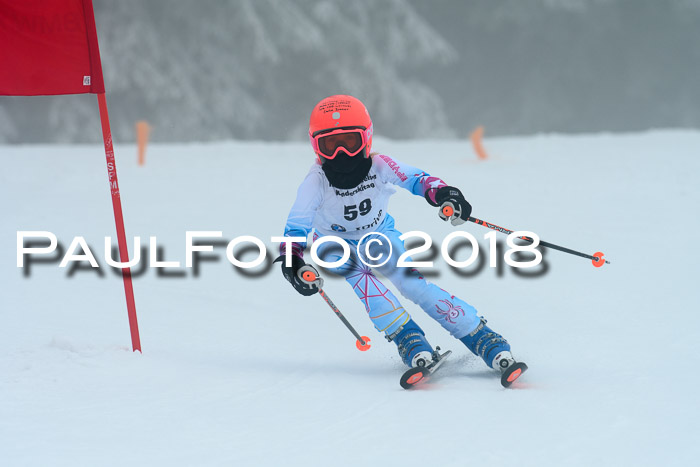 Werdenfelser Kinderskitag, Bambini +Kinder JG 2007, 18.03.2018