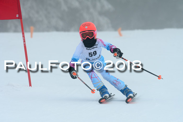 Werdenfelser Kinderskitag, Bambini +Kinder JG 2007, 18.03.2018