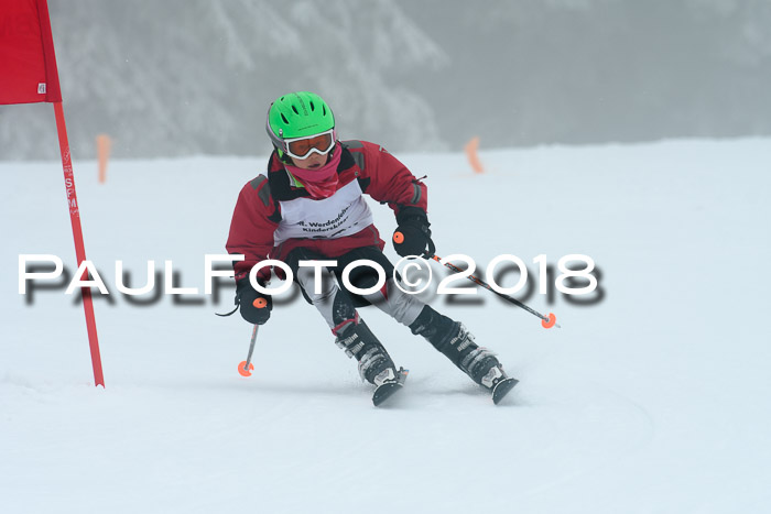 Werdenfelser Kinderskitag, Bambini +Kinder JG 2007, 18.03.2018