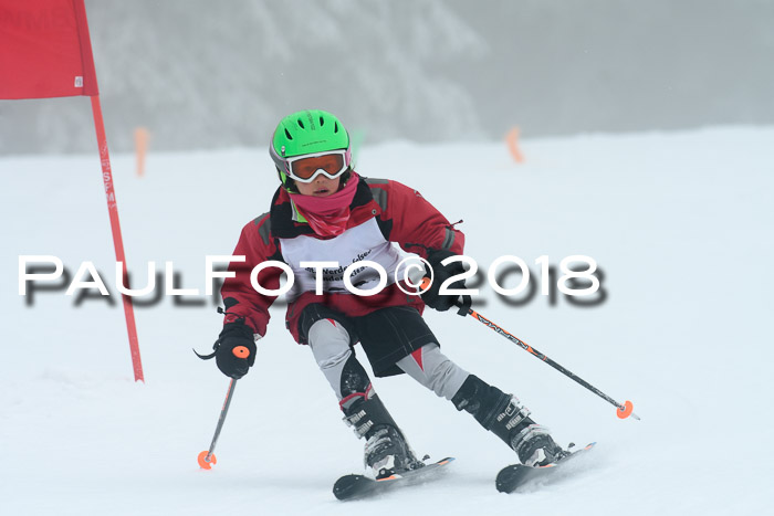 Werdenfelser Kinderskitag, Bambini +Kinder JG 2007, 18.03.2018