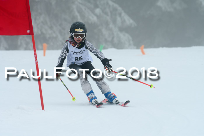 Werdenfelser Kinderskitag, Bambini +Kinder JG 2007, 18.03.2018