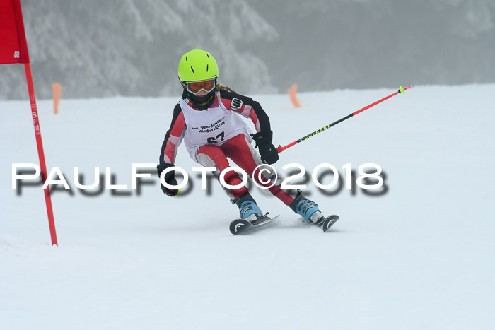 Werdenfelser Kinderskitag, Bambini +Kinder JG 2007, 18.03.2018