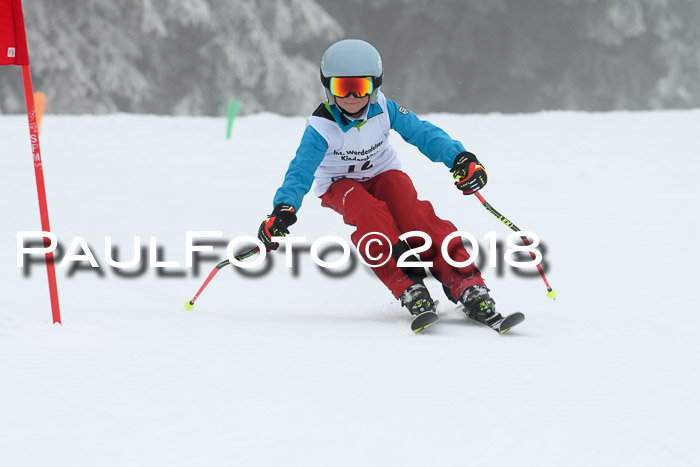 Werdenfelser Kinderskitag, Bambini +Kinder JG 2007, 18.03.2018