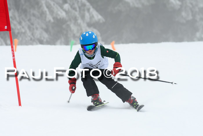 Werdenfelser Kinderskitag, Bambini +Kinder JG 2007, 18.03.2018