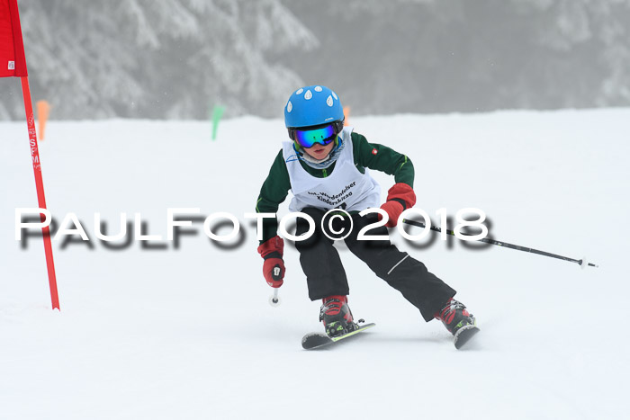Werdenfelser Kinderskitag, Bambini +Kinder JG 2007, 18.03.2018
