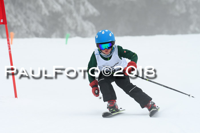 Werdenfelser Kinderskitag, Bambini +Kinder JG 2007, 18.03.2018