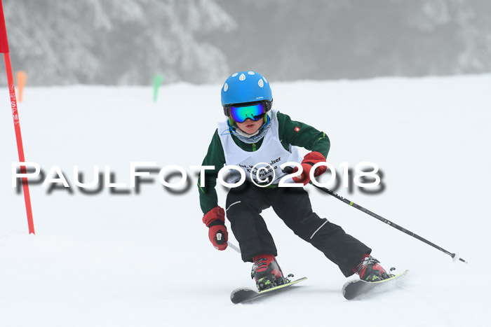 Werdenfelser Kinderskitag, Bambini +Kinder JG 2007, 18.03.2018