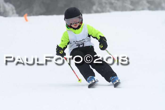 Werdenfelser Kinderskitag, Bambini +Kinder JG 2007, 18.03.2018