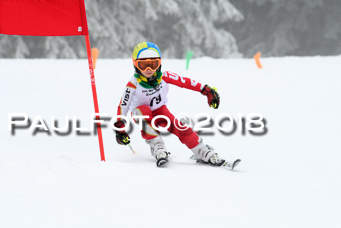 Werdenfelser Kinderskitag, Bambini +Kinder JG 2007, 18.03.2018