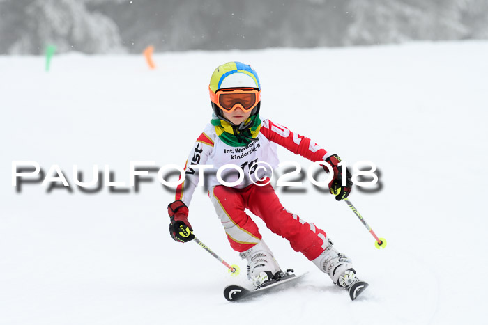 Werdenfelser Kinderskitag, Bambini +Kinder JG 2007, 18.03.2018