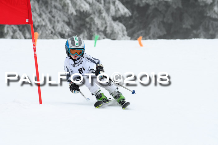 Werdenfelser Kinderskitag, Bambini +Kinder JG 2007, 18.03.2018