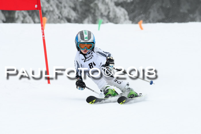Werdenfelser Kinderskitag, Bambini +Kinder JG 2007, 18.03.2018