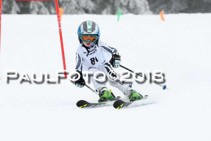 Werdenfelser Kinderskitag, Bambini +Kinder JG 2007, 18.03.2018