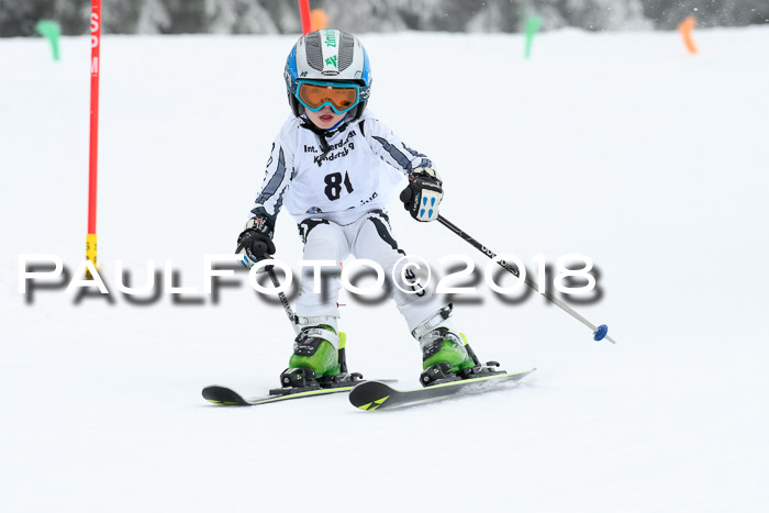 Werdenfelser Kinderskitag, Bambini +Kinder JG 2007, 18.03.2018