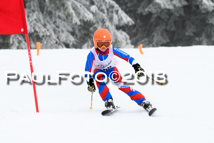 Werdenfelser Kinderskitag, Bambini +Kinder JG 2007, 18.03.2018