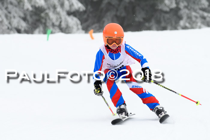 Werdenfelser Kinderskitag, Bambini +Kinder JG 2007, 18.03.2018