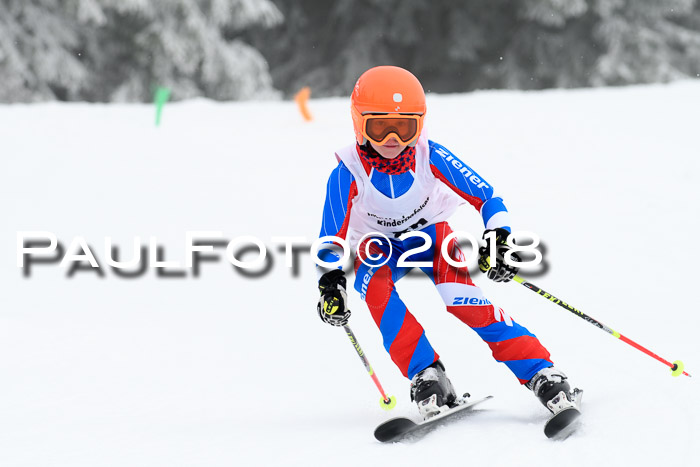 Werdenfelser Kinderskitag, Bambini +Kinder JG 2007, 18.03.2018