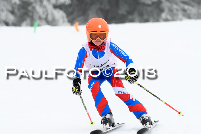 Werdenfelser Kinderskitag, Bambini +Kinder JG 2007, 18.03.2018