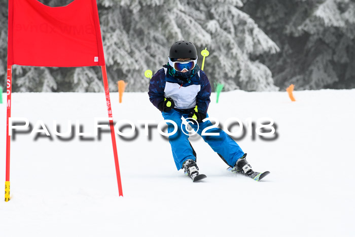 Werdenfelser Kinderskitag, Bambini +Kinder JG 2007, 18.03.2018