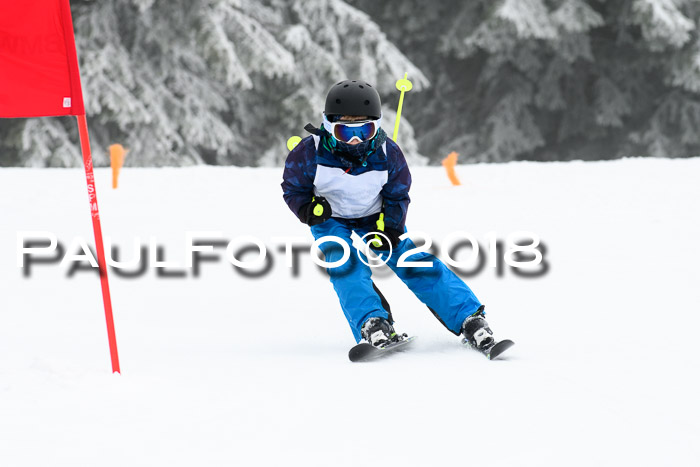 Werdenfelser Kinderskitag, Bambini +Kinder JG 2007, 18.03.2018