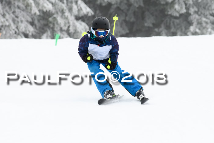 Werdenfelser Kinderskitag, Bambini +Kinder JG 2007, 18.03.2018