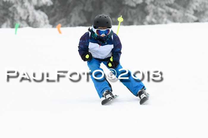 Werdenfelser Kinderskitag, Bambini +Kinder JG 2007, 18.03.2018