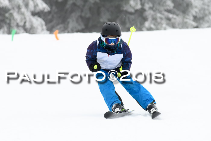 Werdenfelser Kinderskitag, Bambini +Kinder JG 2007, 18.03.2018
