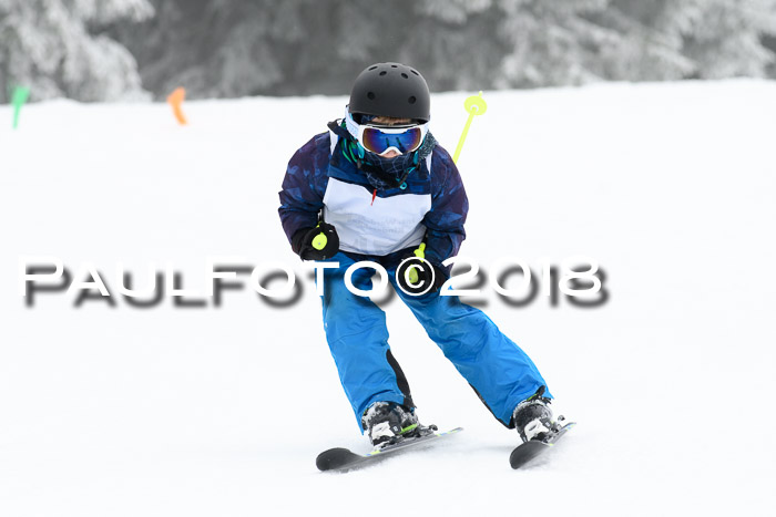 Werdenfelser Kinderskitag, Bambini +Kinder JG 2007, 18.03.2018