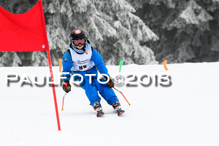 Werdenfelser Kinderskitag, Bambini +Kinder JG 2007, 18.03.2018