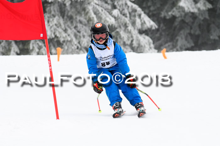 Werdenfelser Kinderskitag, Bambini +Kinder JG 2007, 18.03.2018